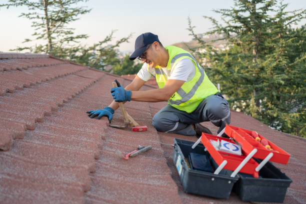 Best Best Roofing Contractors  in Woodmoor, CO